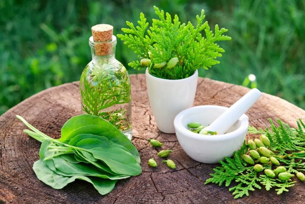 Naturopathy Naturopathy